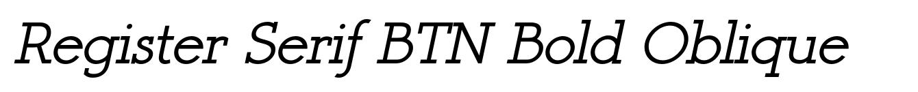 Register Serif BTN Bold Oblique image